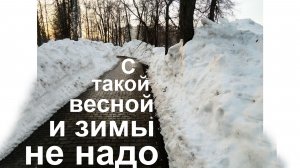 С такой весной и зимы не надо …  17.03.2026