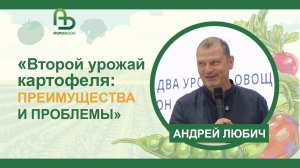 Второй урожай картофеля: преимущества и проблемы | Андрей Любич