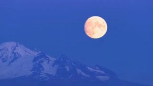 ВЕРТИТСЯ ШАР ЗЕМНОЙ-Автор текста Виктория Резник-песни 2026