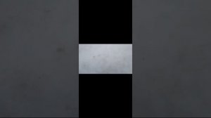 ШКОЛЬНЫЕ ПРИКЛЮЧЕНИЯ / 1 СЕРИЯ