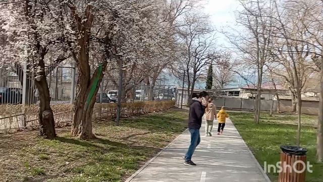 ВОСКРЕСЕНЬЕ. ПОЕЗДКА К МОРЮ.