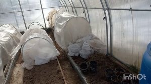 23 марта 2026 года. Готовлю теплицу к рассаде)))