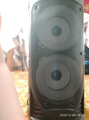 музыкальные  сирены