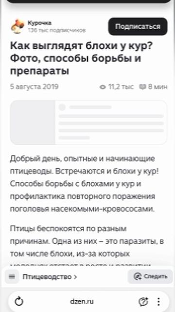 Ангелы и блохи