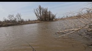 НЕБОЛЬШОЕ ВИДЕО С ВЫЕЗДА НА РЫБАЛКУ С СЫНОМ НА СУДАКА
