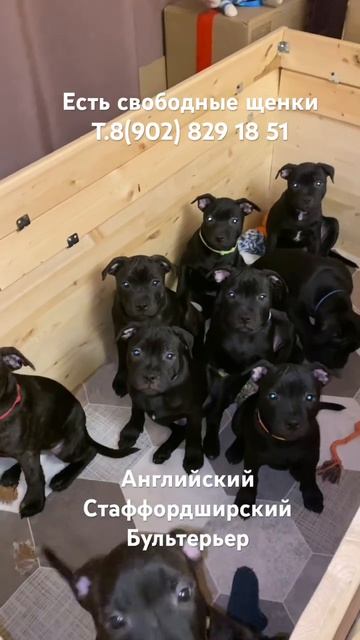 24 марта 2026 г.