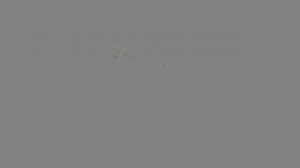 ДОД Колледж 21.03. часть 1