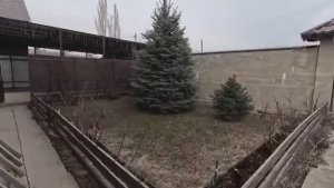 Жизнь вне орхидей- на КАМЕНЩИКА хочу научиться в 50 лет для себя