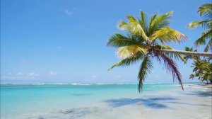 Построил очень красивый домик (из дерева!)