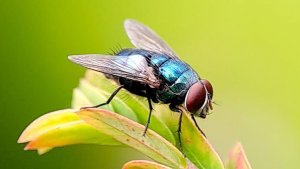 Рил летом тоже самое особенно когда в деревне живешь кайф 😌