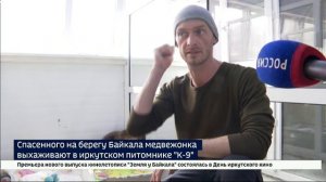 Спасенного на берегу Байкала медвежонка выхаживают в иркутском питомнике «К-9»