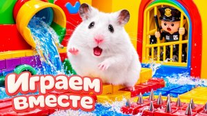 ХОМЯК ВЫБИРАЕТСЯ ИЗ СЕКРЕТНОЙ ХОМЯЧЕЙ ТЮРЬМЫ ! Играем ВМЕСТЕ 🚗 Помогаем выбраться из лабиринта 1