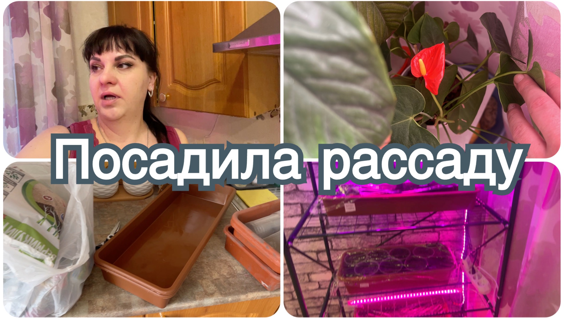 Я в отпуске. Посадила рассаду. Про мой вес.