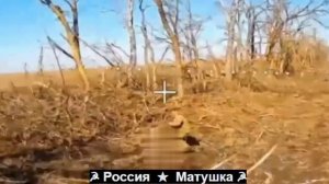 🔴От нас не убежишь, подонок укронацистский.🔴