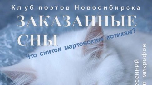 Ирина Алескерова читает стихи