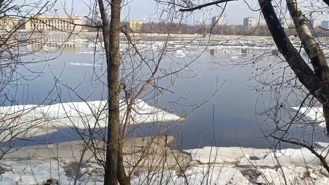 Усольцевы - Истина где-то рядом