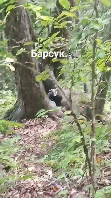 27 августа 2025 г.