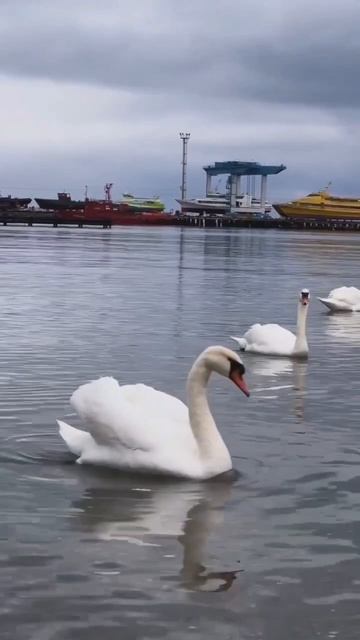 #городуморя#жизнь#позитив