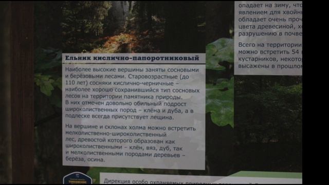 2020.12.05 Кавголово.mp4