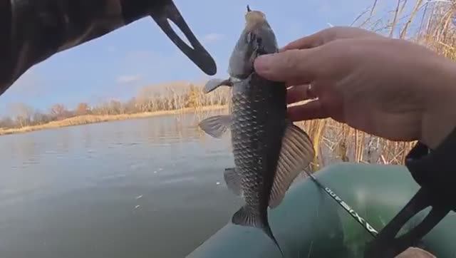 ВОТ ЭТО РЫБАЛКА В НОЯБРЕ! Я И НЕ ДУМАЛ ЧТО ТАКОЕ ВОЗМОЖНО! Рыбалка на поплавок.