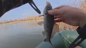 ВОТ ЭТО РЫБАЛКА В НОЯБРЕ! Я И НЕ ДУМАЛ ЧТО ТАКОЕ ВОЗМОЖНО! Рыбалка на поплавок.