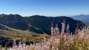 video_2025-07-02_10-32-46