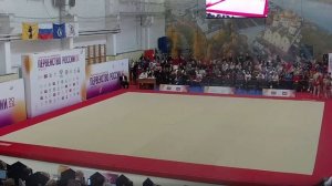 Спортивная акробатика (3)