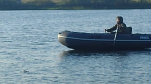 Открытие охоты на утку 2025