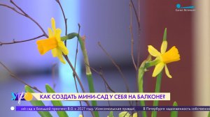 Как создать мини-сад у себя на балконе?