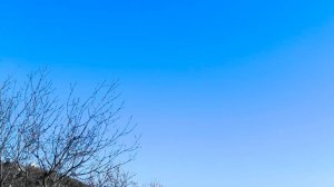 Песенная Медитация 25.03.2026