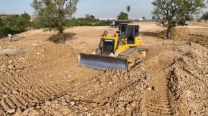 Bulldozer SHANTUI Clearing Land And Fores Tree With DumpTruck TRAGO DONGFENG HYUNDAI 25TON Unloading