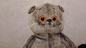 походу разговорное видео.😄