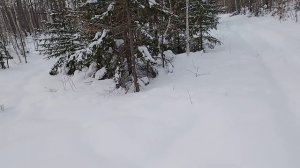 Проходимость мотобуксировщика при глубине снега 40-60 см.