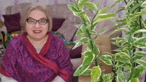 3 часть. Борьба с токсичностью❗️Или кому в психушке прогулы ставят❗️