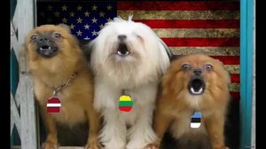 Прибалтикика. Скандинавия решили Ядерное оружие против России приютить - Ответ от канала ПРОсмотр