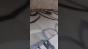 трансляция гумми чела 3