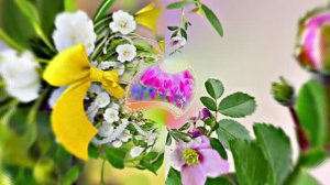 Весна! Очаровательные тюльпаны 5! Киностудия Мудрого Кота Тимофея!