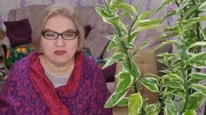 1 часть. Злобная сск@тина велела не злобствовать❗️