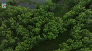 Саженцы из сибирских питомников украсят абаканскую зону отдыха - агрономы начнут работы уже в апреле