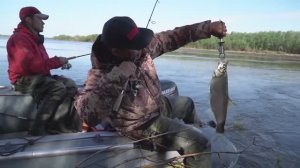 Река Амур. Весна. Рыбалка на хищника