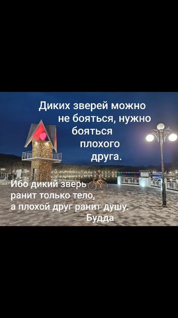 Мудрость тысячелетий до н.э.✨Цитата:"Диких зверей можно не бояться, нужно бояться…" #мысли #душа