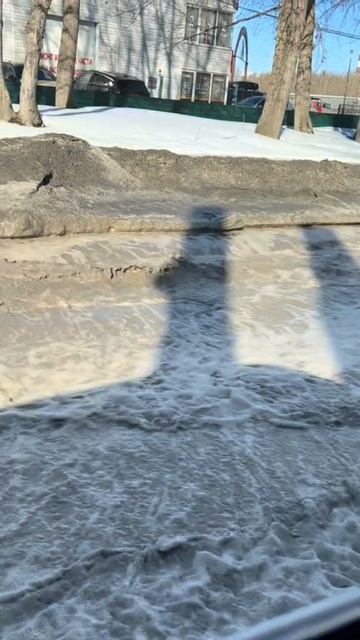 Весна в городе😊