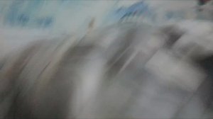 Суровые джунгли 3 часть