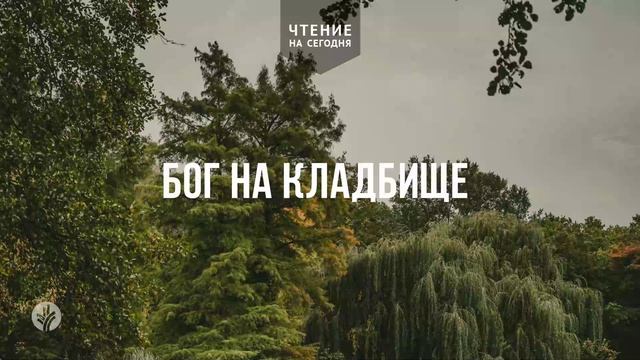 БОГ НА КЛАДБИЩЕ  | АУДИО |	16	  апреля 2026