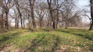 Пять важных дел перед Пасхой.