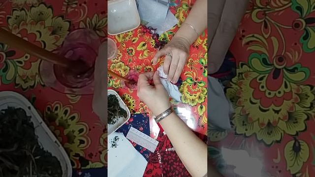 Мастер - класс " Травница"