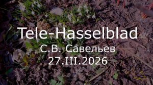 С.В. Савельев - Tele-Hasselblad