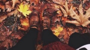 ОсеньН.Крапивко