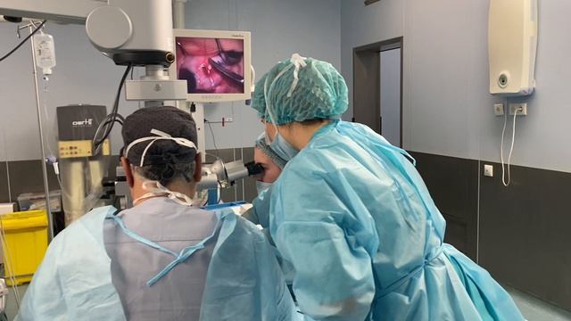 Так выглядит продуктивная неделя команды «Ясного взора»!