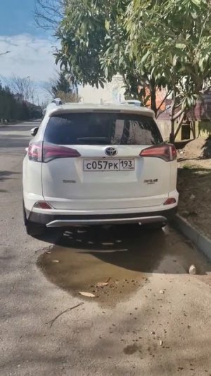 MOV_20260325_090711_807.mp4